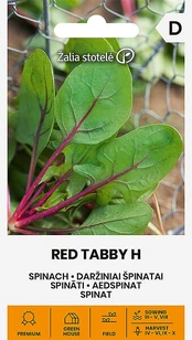 Špinatai daržiniai red tabby h