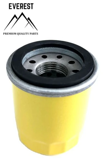 ALYVOS FILTRAS BRIGGS&STRATTON 795990