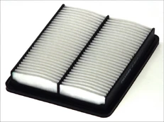 Oro filtras FILTRON AP107/9 kaina