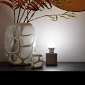 "Calex" išmanioji LED lempa E27 A60 9,4 W CCT RGB, 2 vnt