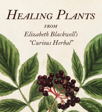 Healing Plants