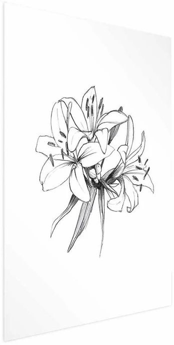 Artgeist Plakatas - Drawn Flowers