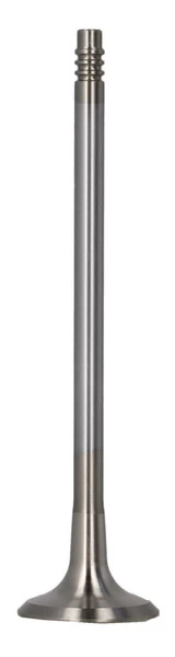 FRECCIA 6733/BMCR Exhaust valve