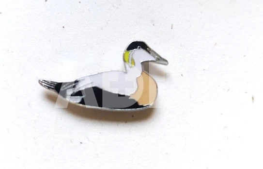 Ženkliukas COMMON EIDER / Paprastoji gaga