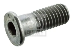 Varžtas, stabdžių diskas FEBI BILSTEIN 01893