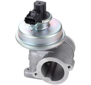 ERG vožtuvas MAGNETI MARELLI 571822112109