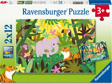 Ravensburger - Little Explorers 2x12p (12004257)