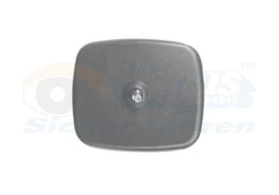Išorinis veidrodėlis VAN WEZEL 3788839