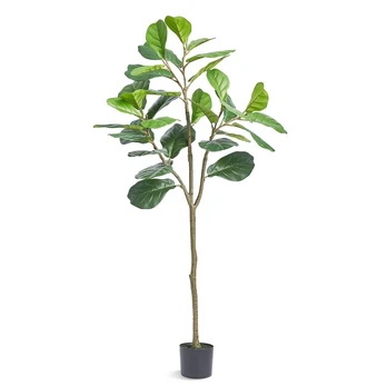 Dirbtinis fikusas 5 ft aukščio