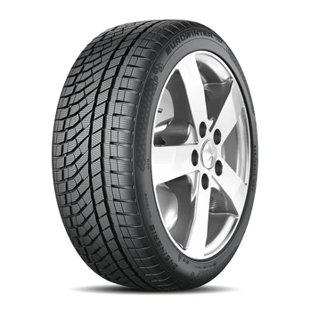 Falken Eurowinter HS02PRO 101V 225/55R17
