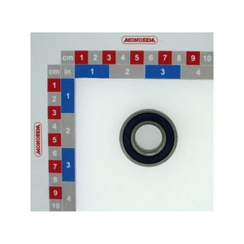 Volelis 6004 2RS