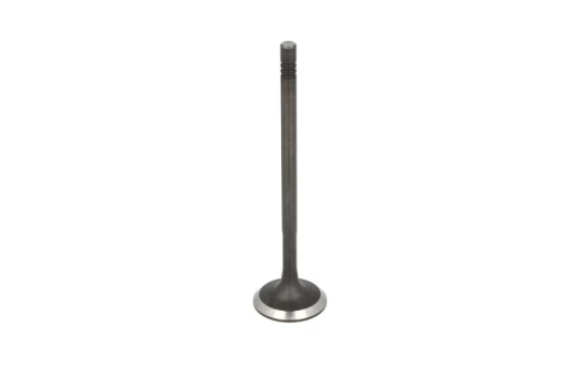 FRECCIA 6799/SNT Inlet valve