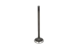 FRECCIA 6799/SNT Inlet valve kaina