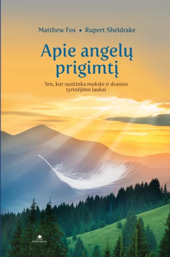 Apie angelų prigimtį