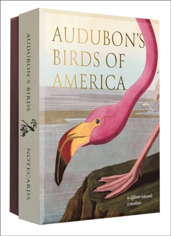 Audubon's Birds of America