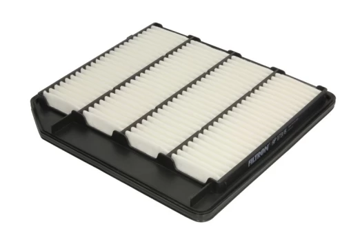 Oro filtras FILTRON AP 173/6
