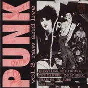 CD Various - Punk Vol. 3: Raw And Live (naudota)