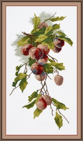 Plums S739