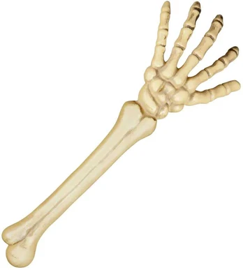 Boland Traciks Skelet arm, 46 cm