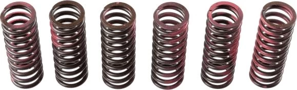 Clutch springs set fits: SUZUKI 450