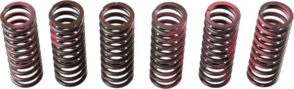 Clutch springs set fits: SUZUKI 450 kaina