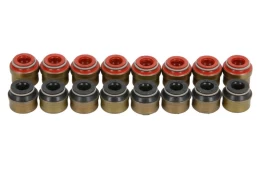 REINZ 12-12548-01 Valve stem seal set kaina