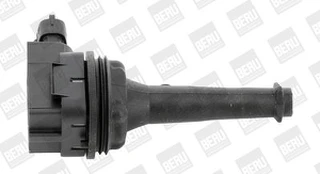 Ritė, uždegimas BorgWarner (BERU) ZSE019