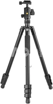 Vanguard Vesta GO 264AB