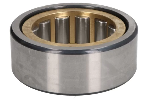 guolis, mechaninė transmisija 0635450098ZF