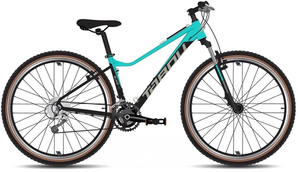 Dviratis Tabou Blade 29 0 W juodas-mint-M (Dydis: M)