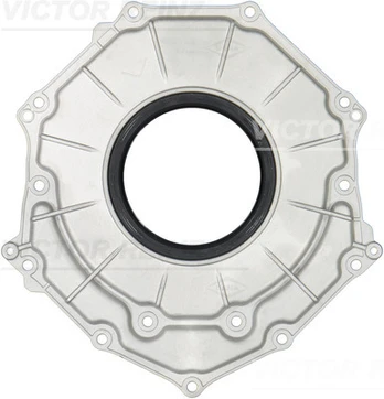 Veleno riebokšlis 81-10650-00