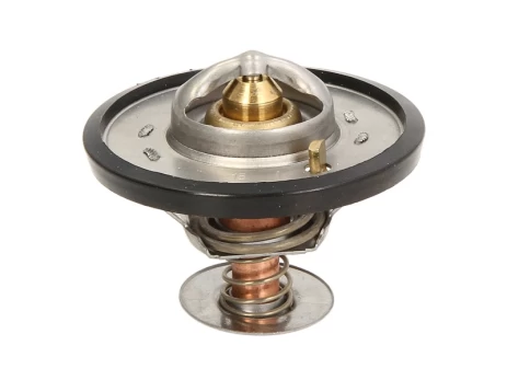 termostatas, aušinimo skystis THERMOTEC D2CA001TT