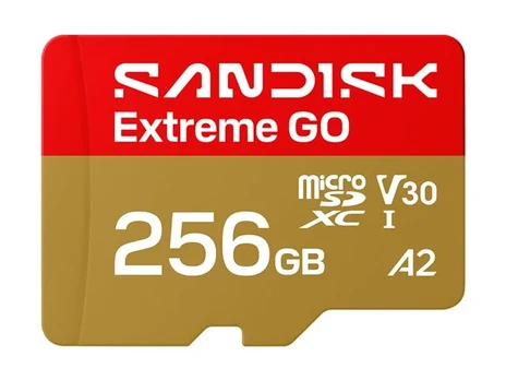 SANDISK Extreme GO microSDXC 256GB UHS-I