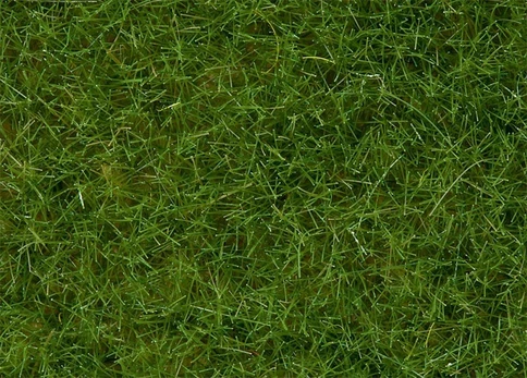 Noch Barstoma laukinė žolė