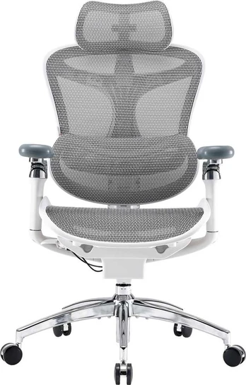 Biuro kėdė Sihoo DORO C300 Pro Mesh Baltas