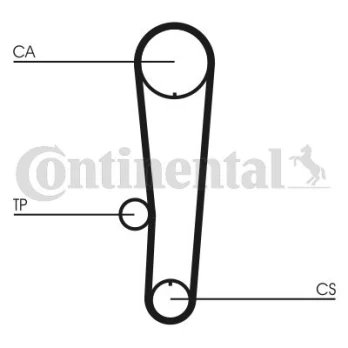 Paskirstymo diržas CONTINENTAL CTAM CT1017