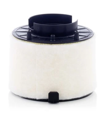MANN-FILTER C 17 009 Oro filtras