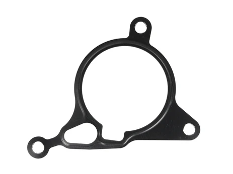 ELRING EL443020 Vacuum pump gasket set