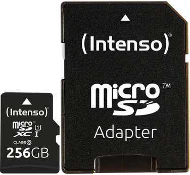 Atminties kortelė Intenso, 256 GB