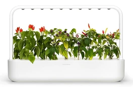Click & Grow Smart Garden 9, white | SG9S1UNI kaina