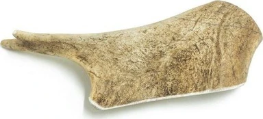 4DOGS 4DOGS TEETH L HARD 15 cm danielių ragas