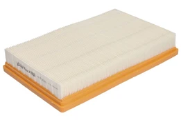 Oro filtras PURFLUX A1395 kaina