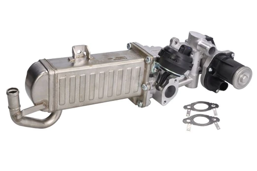 EGR vožtuvas BORG WARNER WA710861D/1