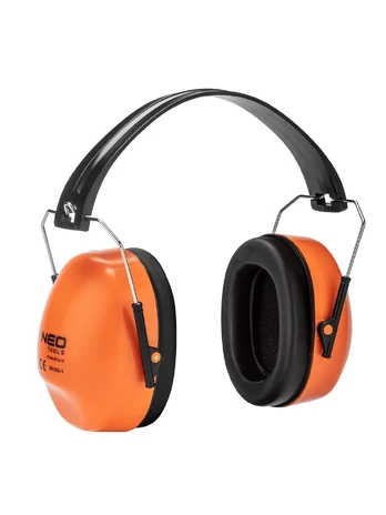 Earmuff protector