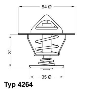 Termostatas, aušinimo skystis BorgWarner (Wahler) 4264.87D