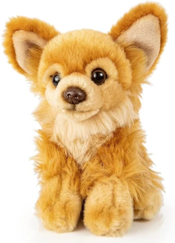 Chihuahua pliušinis šuo, rudas, sėdintis, 18 cm