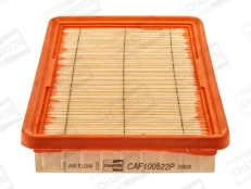 Oro filtras CHAMPION CAF100522P kaina