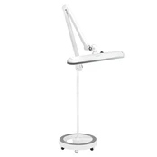 Kosmetologinė LED lempa 5/10W WHITE kaina
