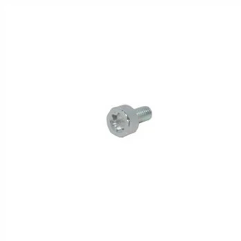VARŽTAS TORX 4, ECHO