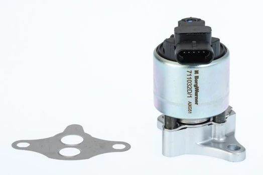 ERG vožtuvas BorgWarner (Wahler) 711032D/1